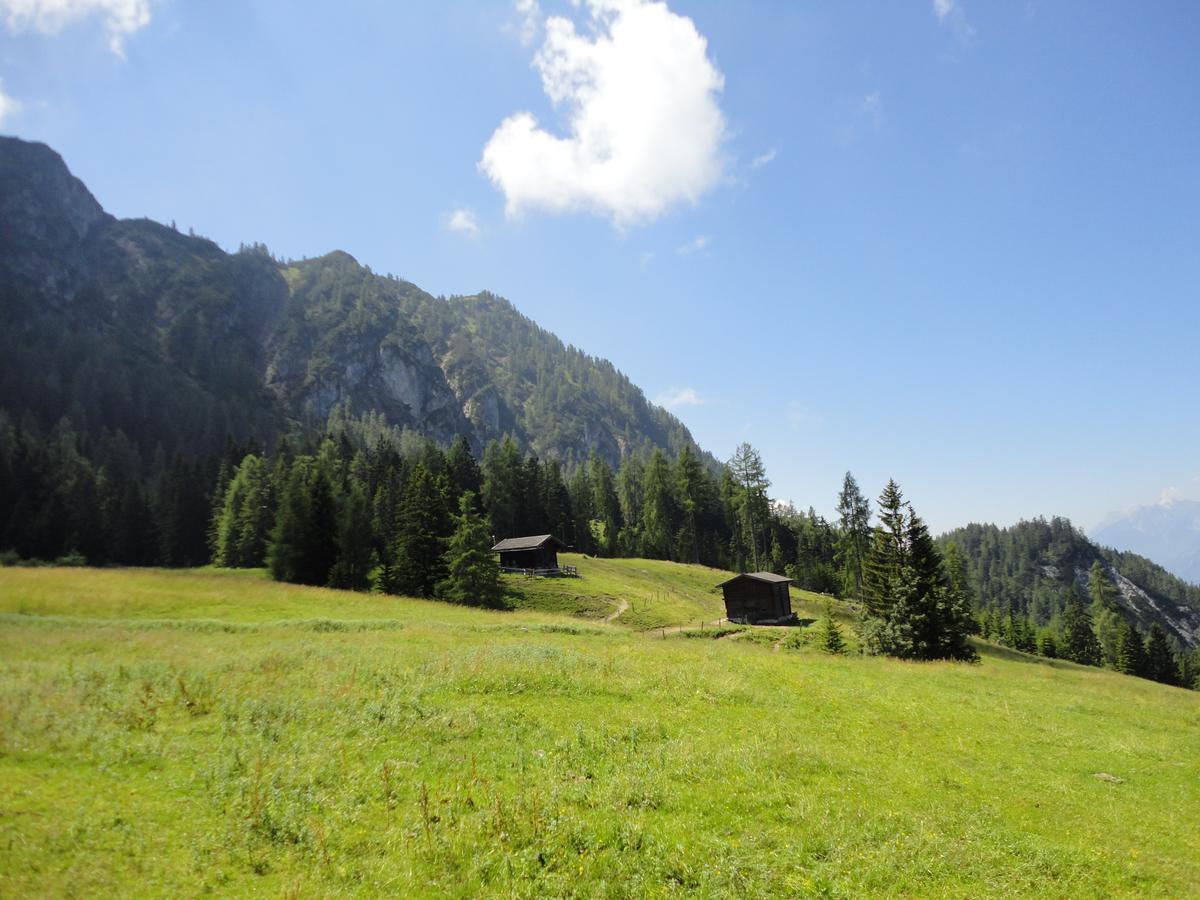 Pension Enzian Niederau Buitenkant foto